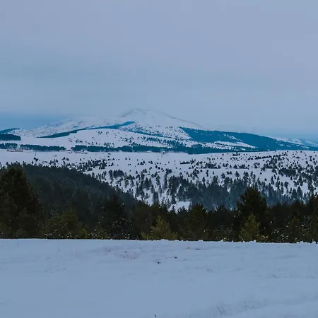 Dijamant Zlatibor