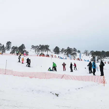 Szálloda Dijamant *